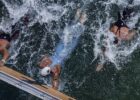 stock open water courtesy of Andrea Masini Deepbluemedia