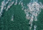 stock open water courtesy of Andrea Masini Deepbluemedia