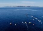 stock open water courtesy of Andrea Masini Deepbluemedia