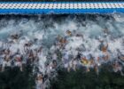stock open water courtesy of Andrea Masini Deepbluemedia