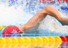 stock freestyle gbr