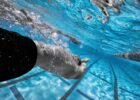 Swim Sets for Underwater Dolphin Kick