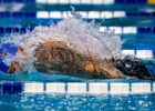 Tips for Butterfly Stroke Technique