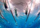 Dryland Workouts for Swimmers