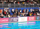 stock Doha