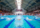 CSCAA Announces Appointment of New College Swimming & Diving Advocacy Council