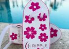 Find New Ways To Get Faster With RIPPLE Anti-Paddles