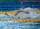 NZL Championships: Fairweather & Tapper Qualify For Singapore In Women’s 200 Free