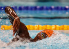 Multiple NZ Records Bite the Dust At Apollo Projects Age Group Championships