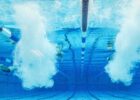 Spectrum Aquatics Weekly Wonders of Age Group Swimming: 6/14/2025