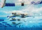 Kubiak Breaks Fifth World Record As Koehn Boyd Takes Swimmer Of The Meet At Para Nationals