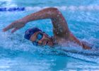 Freshman Sara Omar Sets Multiple USJ Program Records At GNAC Championships