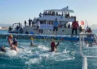 Budapest 2027 Adds 4 V. 4 Water Polo As New World Championships Sport